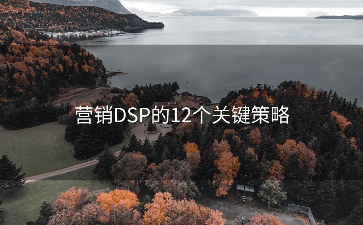 营销DSP的12个关键策略