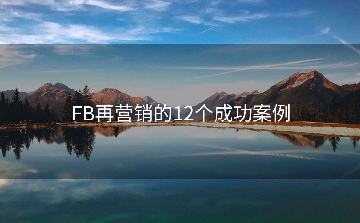 FB再营销的12个成功案例