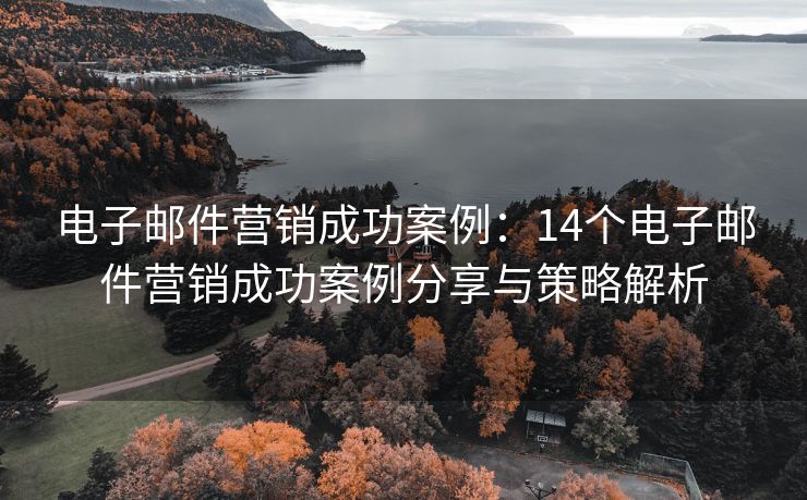 电子邮件营销成功案例：14个电子邮件营销成功案例分享与策略解析