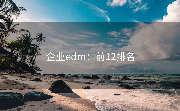 企业edm：前12排名