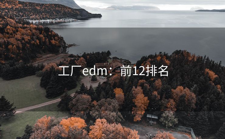 工厂edm：前12排名