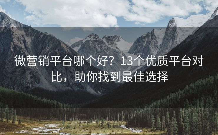 微营销平台哪个好？13个优质平台对比，助你找到最佳选择