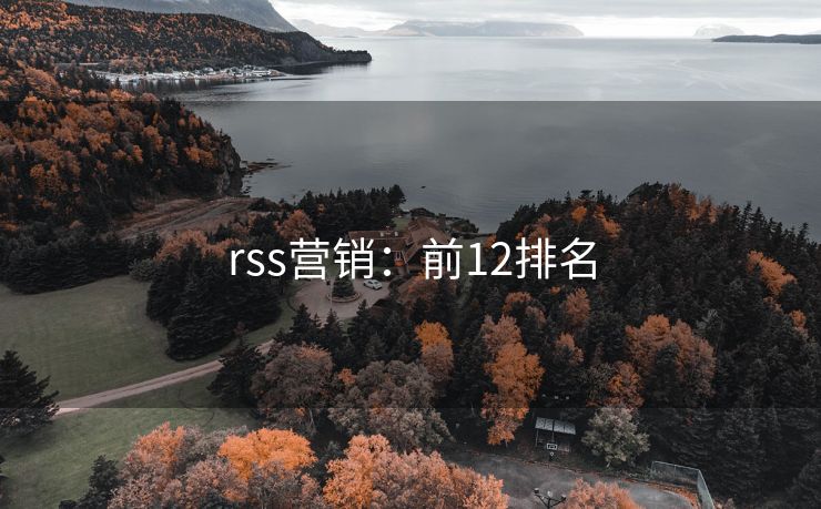 rss营销：前12排名