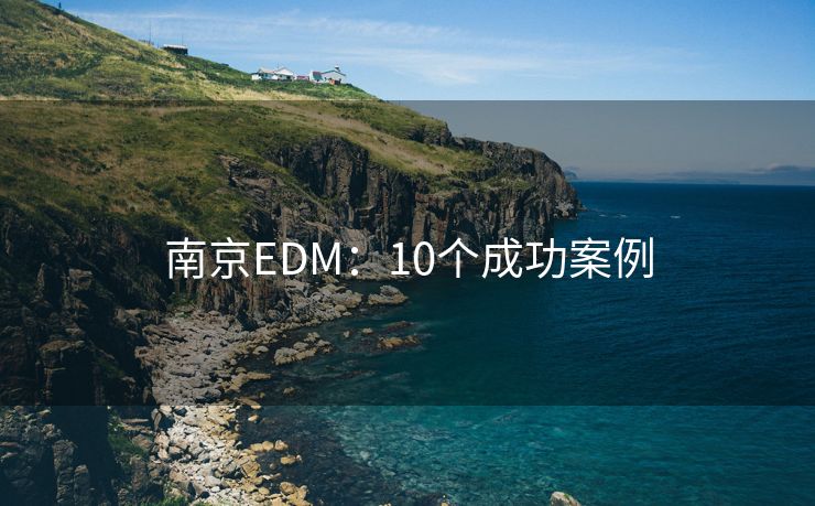 南京EDM：10个成功案例