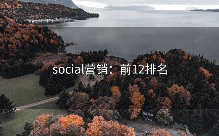 social营销：前12排名