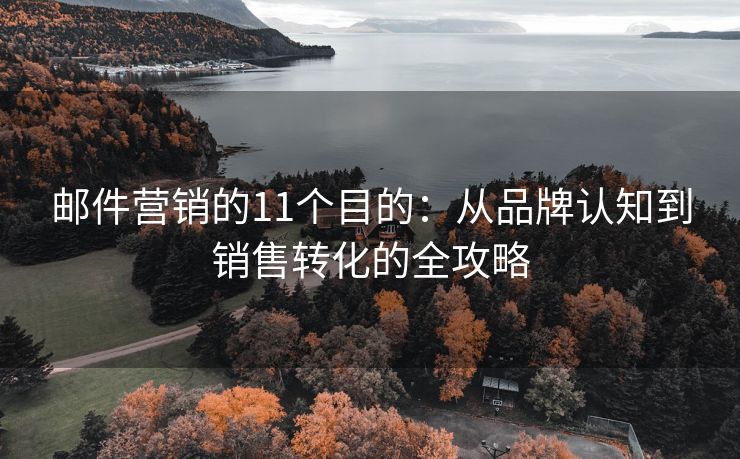 邮件营销的11个目的：从品牌认知到销售转化的全攻略