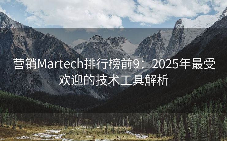 营销Martech排行榜前9：2025年最受欢迎的技术工具解析