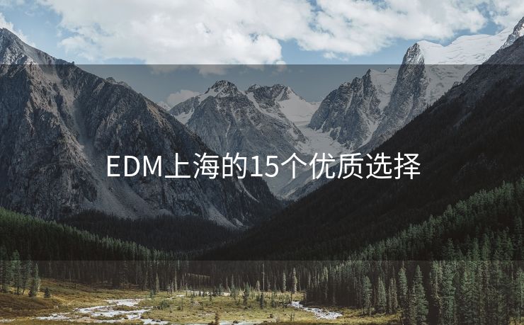 EDM上海的15个优质选择