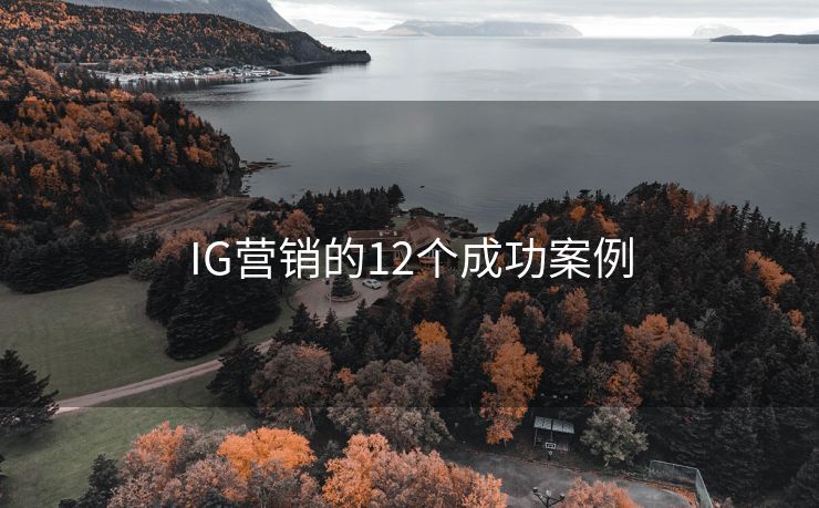 IG营销的12个成功案例