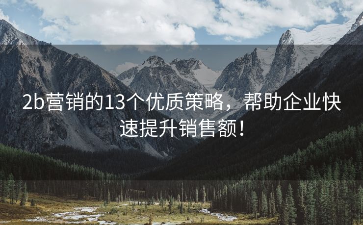 2b营销的13个优质策略，帮助企业快速提升销售额！