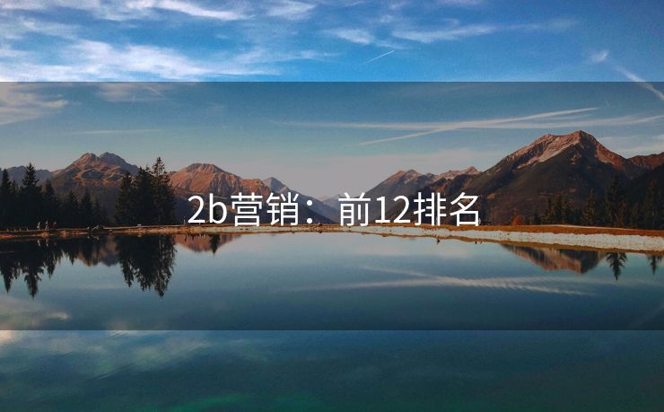 2b營銷：前12排名