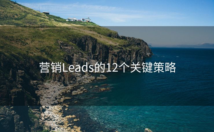 营销Leads的12个关键策略