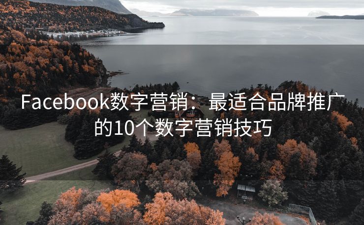 Facebook数字营销：最适合品牌推广的10个数字营销技巧