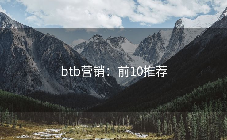 btb营销：前10推荐