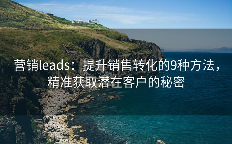 营销leads：提升销售转化的9种方法，精准获取潜在客户的秘密