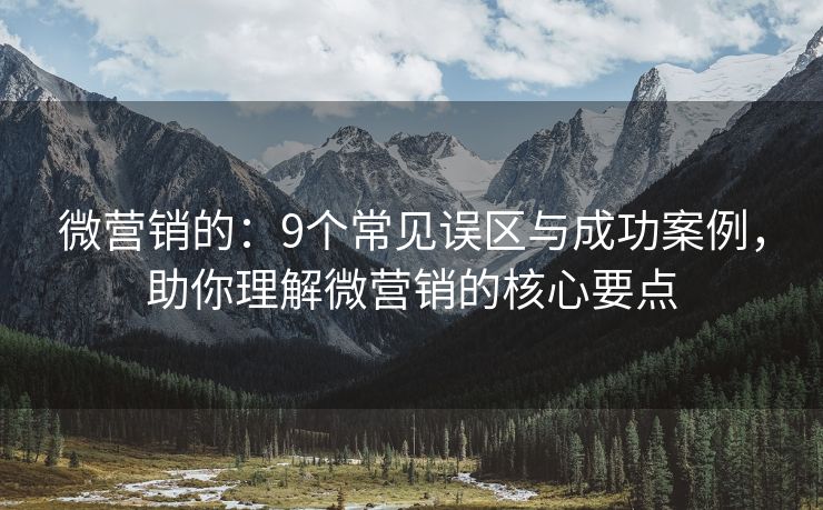 微营销的：9个常见误区与成功案例，助你理解微营销的核心要点