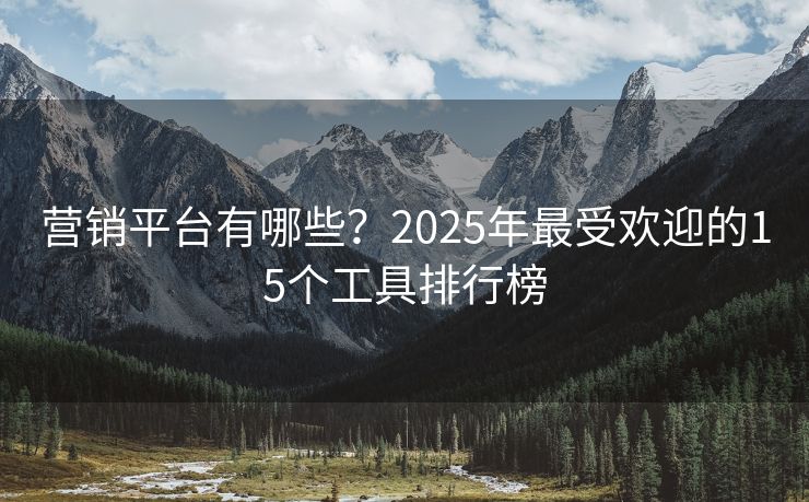 营销平台有哪些？2025年最受欢迎的15个工具排行榜