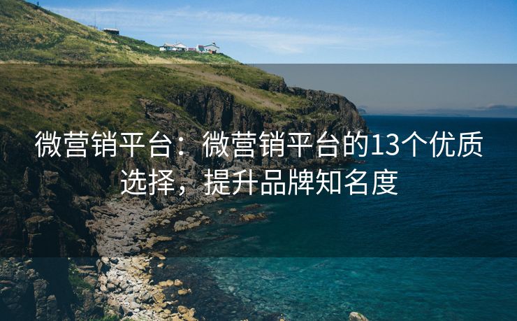 微营销平台：微营销平台的13个优质选择，提升品牌知名度