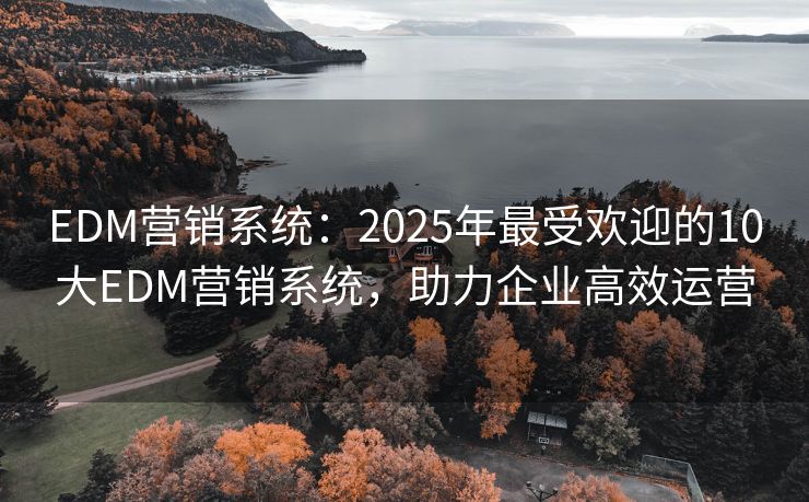 EDM营销系统：2025年最受欢迎的10大EDM营销系统，助力企业高效运营