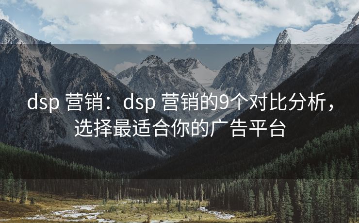 dsp 营销：dsp 营销的9个对比分析，选择最适合你的广告平台