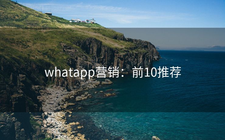 whatapp营销：前10推荐