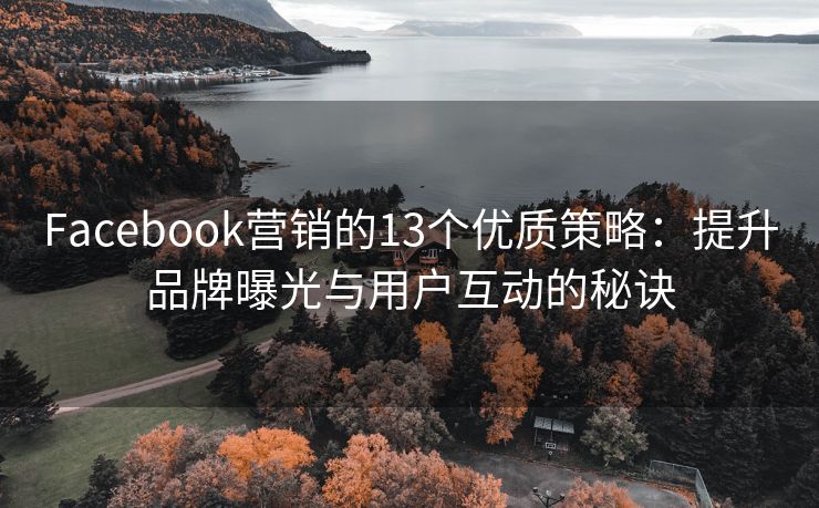 Facebook营销的13个优质策略：提升品牌曝光与用户互动的秘诀